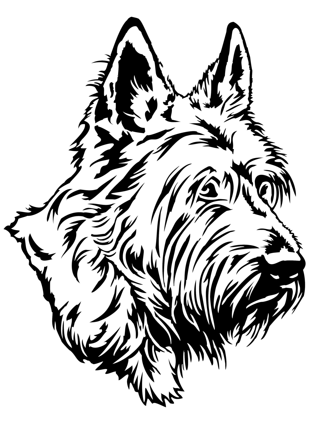 Ausstellung Picard Spezial